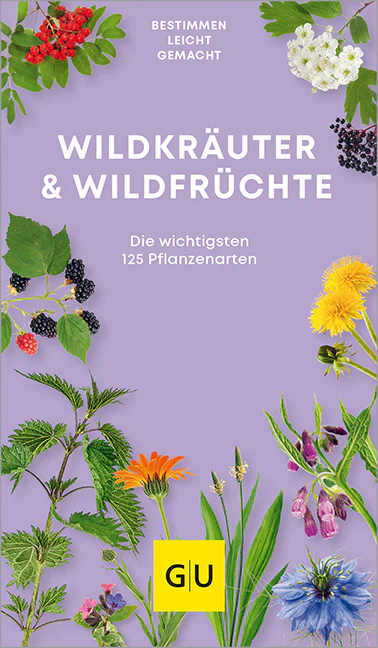 Vorschaubild 1