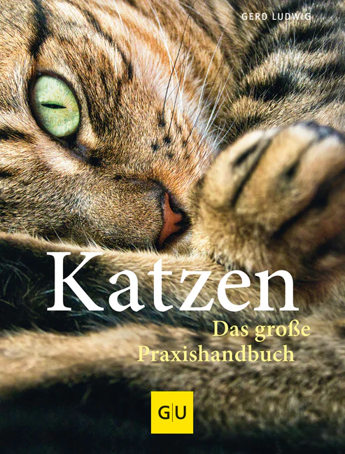 Vorschaubild 1