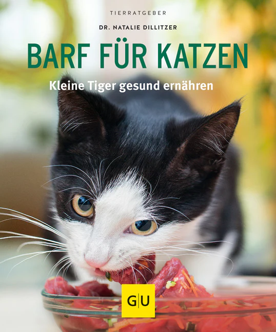 Vorschaubild 2