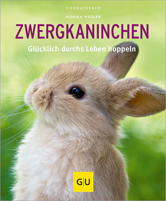 Vorschaubild 1