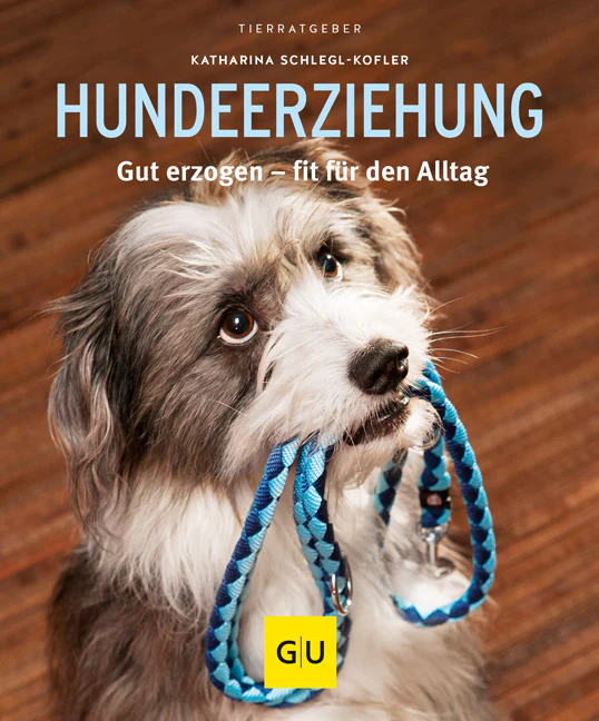 Hundeerziehung - Image 2