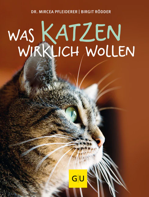 Vorschaubild 1