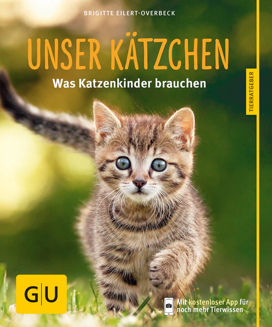 Vorschaubild 2