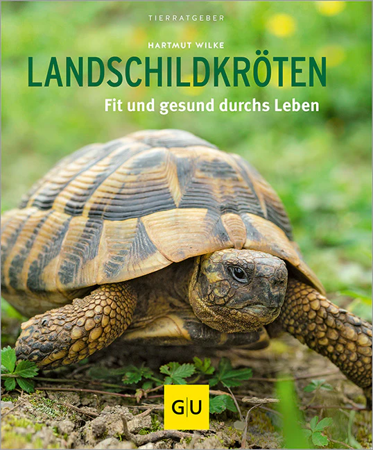 Landschildkröten - Image 2