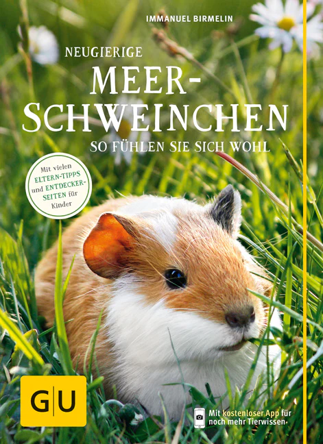 Neugierige Meerschweinchen - Image 2
