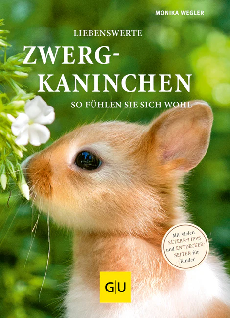Liebenswerte Zwergkaninchen - Image 2