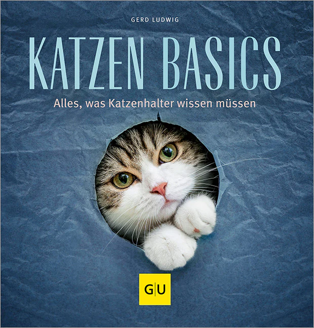 Katzen-Basics - Image 2