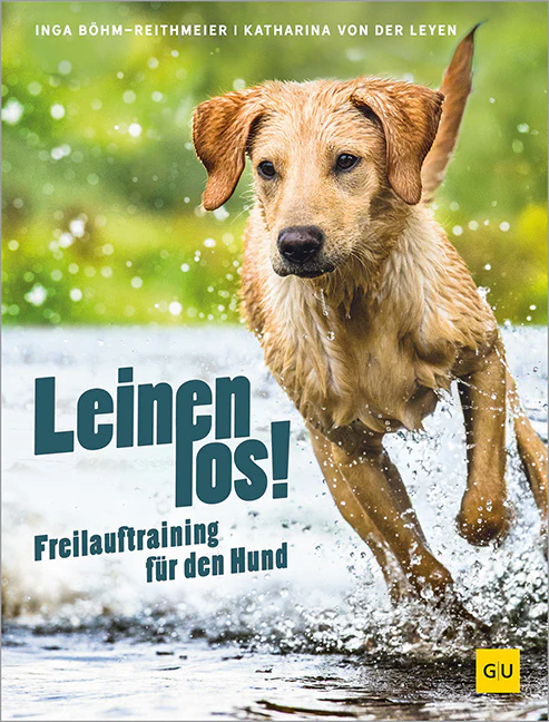Leinen los! Freilauftraining für den Hund - Image 3