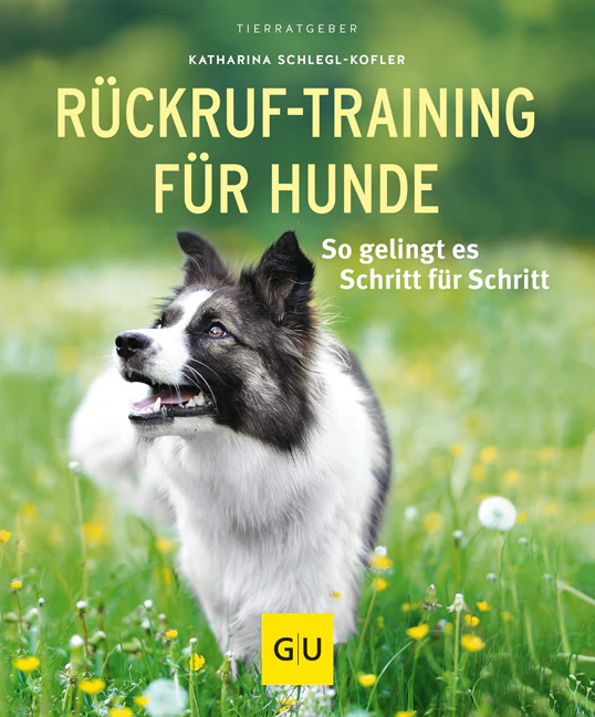 Rückruf-Training für Hunde - Image 2