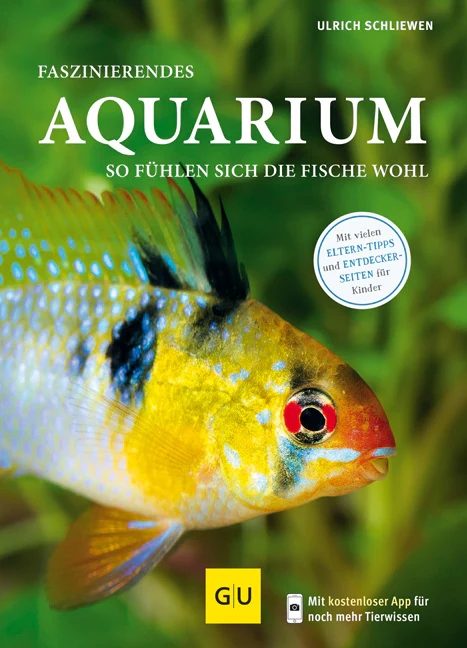 Vorschaubild 2