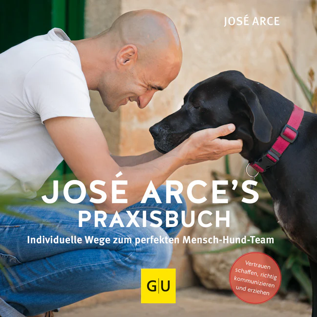 José Arce's Praxisbuch - Image 2