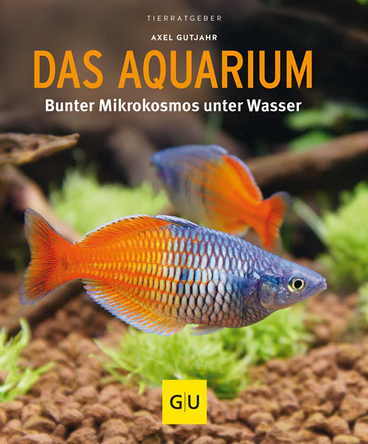 Vorschaubild 2
