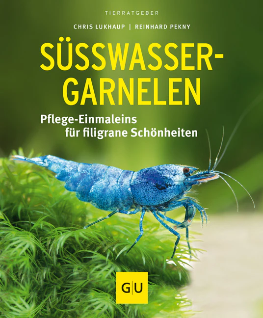 Vorschaubild 2