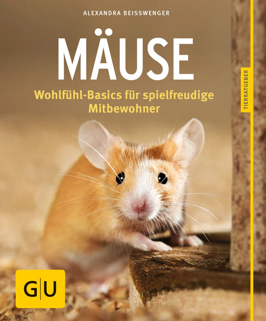 Vorschaubild 2