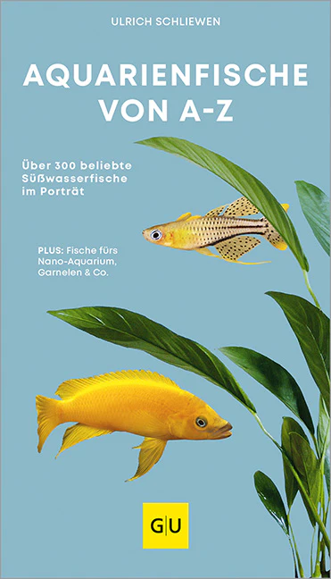 Vorschaubild 1