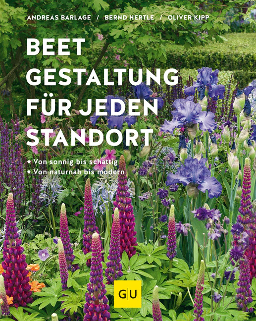 Vorschaubild 1