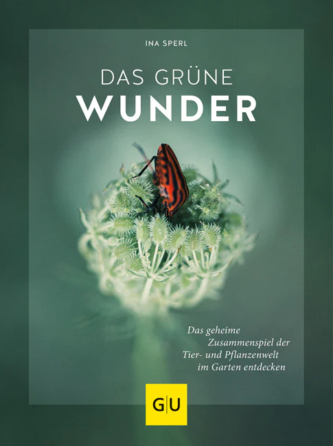 Das grüne Wunder - Image 2