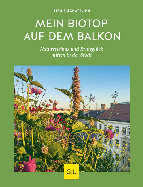 Vorschaubild 1