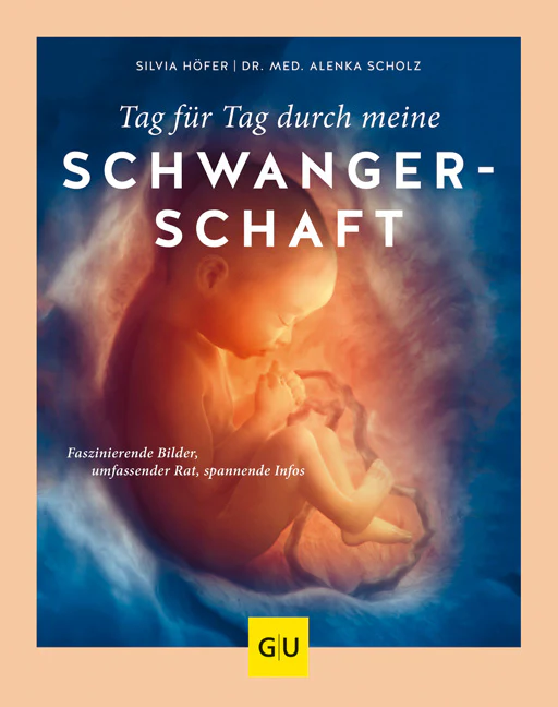 Tag für Tag durch meine Schwangerschaft - Image 2