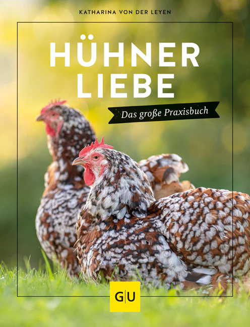 Vorschaubild 1