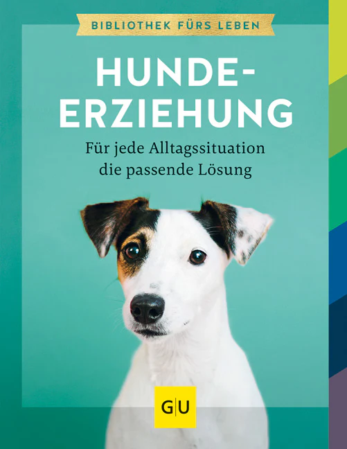 Hundeerziehung - Image 2