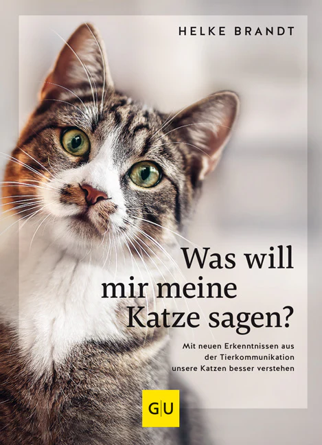 Was will mir meine Katze sagen? - Image 2