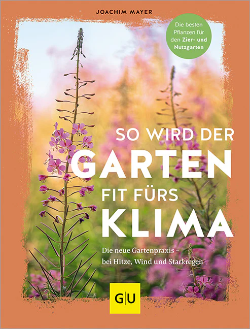 So wird der Garten fit fürs Klima - Image 2