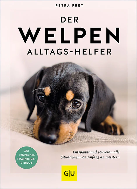 Der Welpen-Alltags-Helfer - Image 2