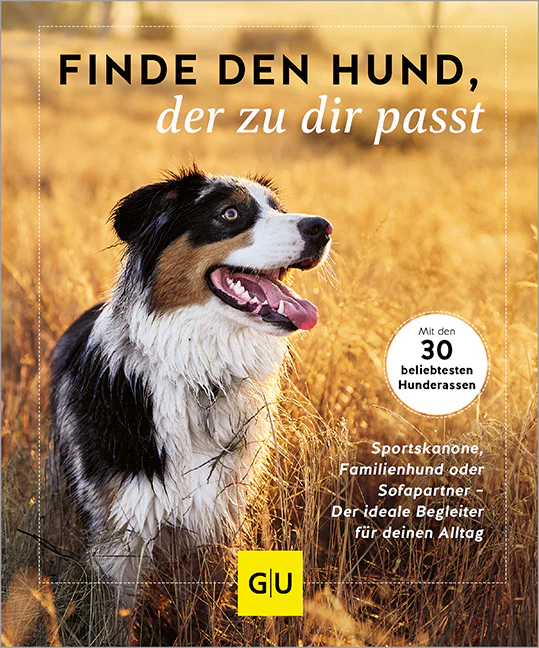 Finde den Hund, der zu dir passt - Image 2