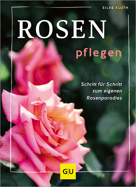 Rosen pflegen - Image 2