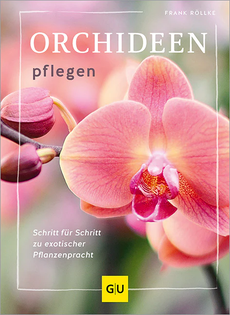 Orchideen pflegen - Image 2