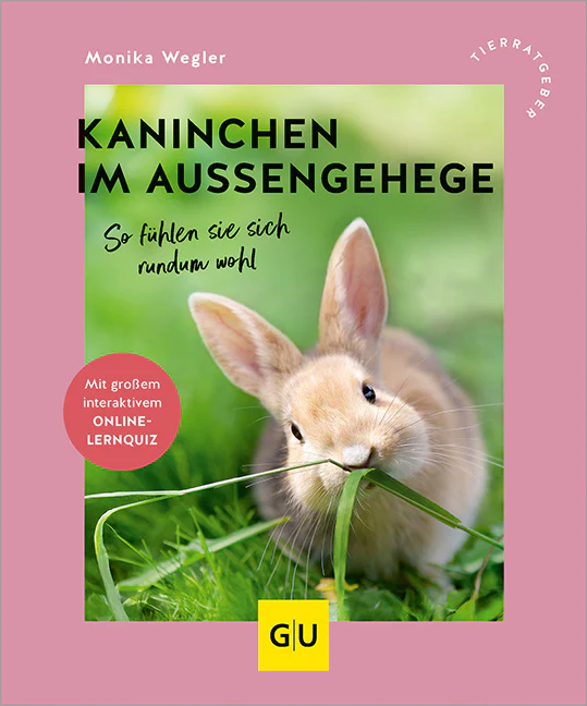 Kaninchen im Außengehege - Image 2