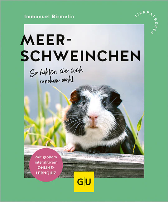Meerschweinchen - Image 2