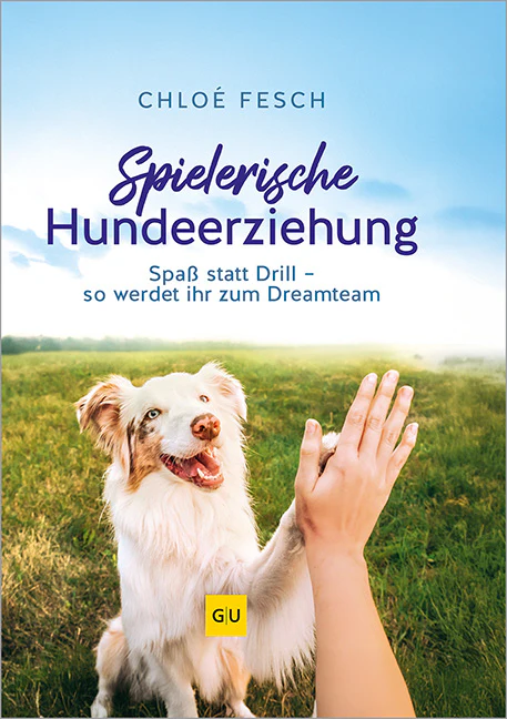 Spielerische Hundeerziehung - Image 2